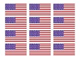 (12) American Flag 2