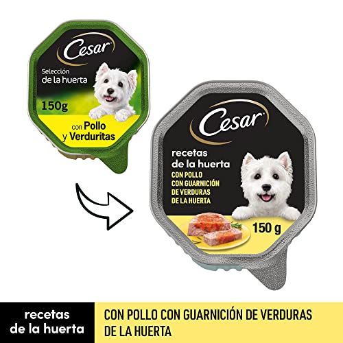 Cesar Comida Húmeda para Perros, Recetas de la Huerta en Paté y Gelatina (Pack de 14 Tarrinas x 150g) 7 Las tarrinas Cesar Recetas de la Huerta con Pollo y Verduras te ofrecen la mejor comida húmeda para tu perro, hecha con ingredientes naturales, saludables y de la mejor calidad, que proporcionarán una nutrición completa y equilibrada a tu perro
Deliciosas tarrinas de jugosa comida húmeda con pollo y verduras en paté y gelatina, para que tu perro disfrute al máximo de cada comida
Packaging reciclable que nos ayuda a cuidar el medioambiente