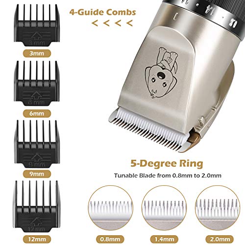 https://m.media-amazon.com/images/I/51kYbMCh8oL._SL500_.jpg