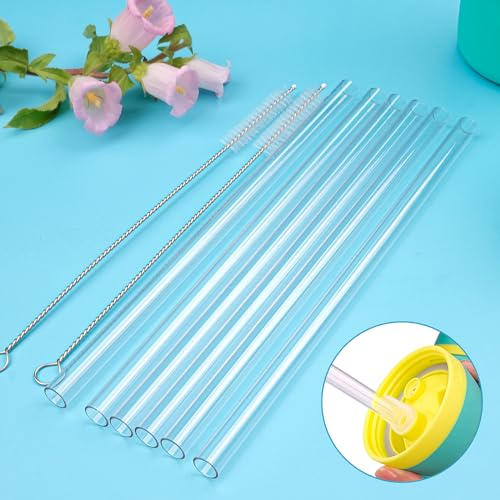 WK ieason 6Pcs Replacement Plastic Straws for Owala FreeSip Flip 24oz & 32oz Reusable Drinking Starws for Owala Insulated Stainless Steel Water Bottle (6pcs Clear plastic straws for Owala)