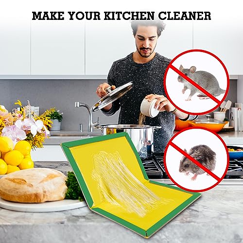 Mouse Trap with Strong Stickiness,25 Pack Rat Trap Sticky Pad Board for Household Indoor and Outdoor Sticky Traps，Easy to Use by colpart - Image 6