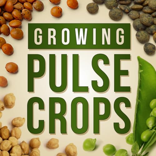 Building a Pulse Processing Business