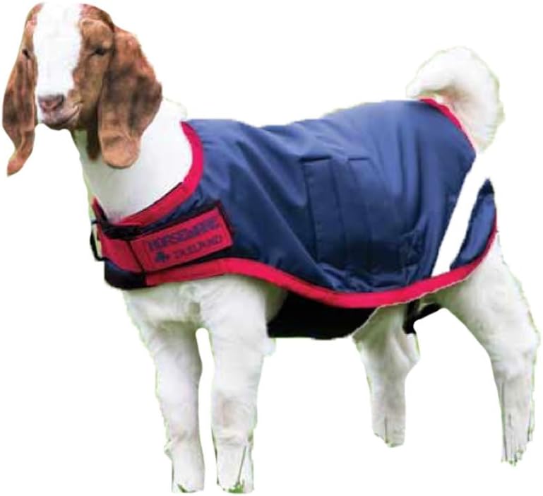 Goat Rug 100g - Navy/Red, M