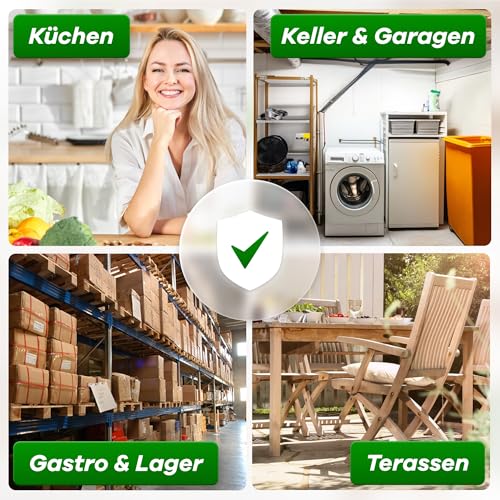 Gerobug Ratten & Mäuseabwehr Spray 500 ml mit Langzeitwirkung - Pfefferminzöl gegen Mäuse für Haus & Garten, hochwirksame Alternative zu Mäusegift oder Rattengift
