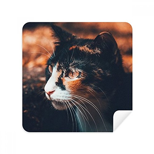 Nettoyage lunettes chat marron tissu daim vintage contre traces