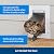 PetSafe Never Rust Wall Entry Pet Door - Telescoping Frame - Insulates Better Than Metal, Energy Efficient - Interior & Exterior Walls, Weatherproof, Easy to Install & Clean (White - Large)