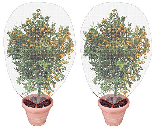 Insect Bird Barrier Netting, Fine Mesh Vegetable Net Fruit Plant Crop Protection Window Netting Reusable Fencing (1x1.5m/3x4.5ft)