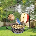 Nature's Way BBFM1 Bluebird Buffet Metal Bird Feeder with Protective Baffle, Outdoor Wild Bird Feeder and Décor, One Glass Dish with 3/4 Cup capacity, Blue - Image 2