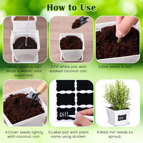 image for Ripeng 10 Set Herb Garden Kit Indoor Herb Garden Starter Kit with Pots