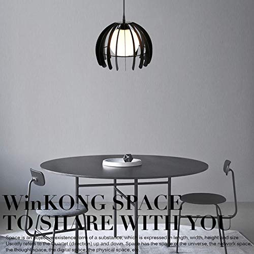 Plafonnier suspension créatif creux en métal noir avec tête unique E27