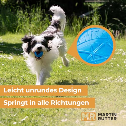 Martin Rütter Hundeball „Moby“ Blau – Hundespielzeug aus 100% Naturmaterial, springt unvorhersehbar und fördert Spiel, Bewegung & Auslastung