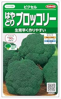 SK9-099 ブロッコリー種子 4個セット 当店だけの限定モデル htckl