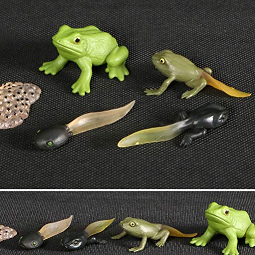 2 Conjuntos Modelo De Estágio De Crescimento Enfeite De Girino Modelo De Girino Filho Animal Área De