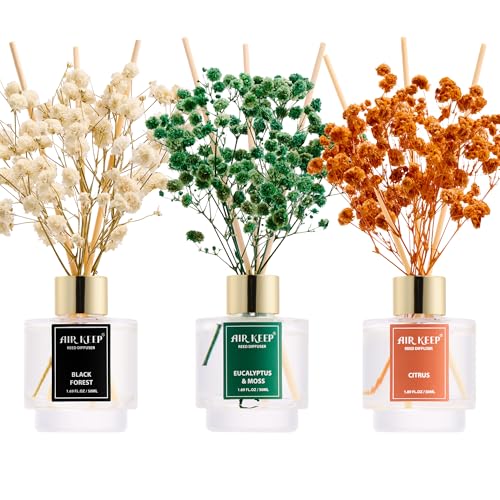 Airkeep Raumduft 50ml x3, Reed Diffuser mit Black Forest, Eucalyptus & Moss, Citrus, Raum Duft mit 24 Duftstäbchen, Lufterfrischer für Badezimmer, Wohnung, Heimdekoration