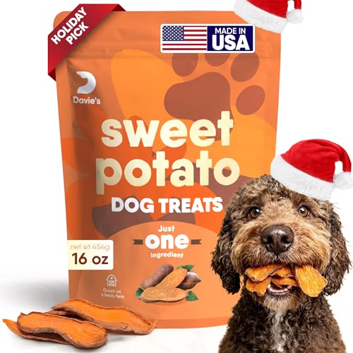 Davie’s Sweet Potato Dog Treats – Healthy, Natural Dog Chews, Low Fat, 1 lb. Bag
