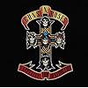 Appetite for Destruction