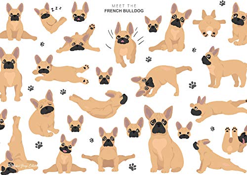 Affiche en métal Bouledogue Français format A4 Powerful Positive Thinking chien