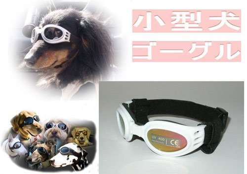 Amazon | ◇◇小型犬用ゴーグル（チワワ、トイプードル等）◇◇紫外線