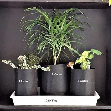 Bootstrap Farmer Grow Bags 2 Gallon Fabric Plant Pots Handles, 10 Pack