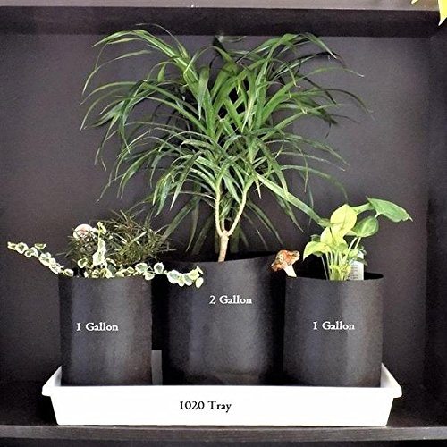 Bootstrap Farmer Grow Bags 7 Gallon Fabric Plant Pots With Handles, 10 Pack #TOP2