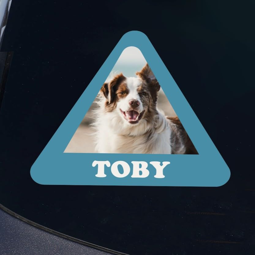 Adesivo Auto Personalizzato Con Nome Cane - Vinile Impermeabile 15x13cm, Design Teckel