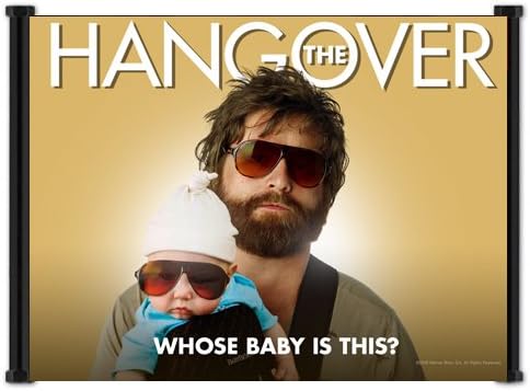 The HangOver Movie Fabric Wall Scroll Poster (21" x 16") Inches