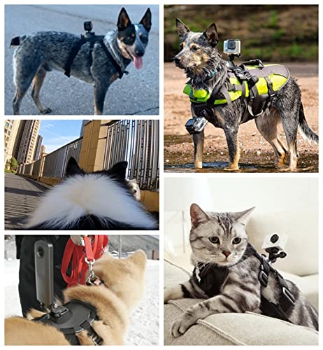 Dog Harness Mount for Gopro, Soft and Adjustable Dog Vest with 360 Degree Mouting Base and J Hook Buckle Mount, Pet Chest and Back Fixation for Gopro Hero All Models, for Small Medium Large Dogs