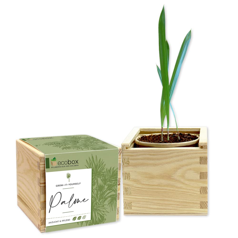 We Create Nature Confezione Regalo Con Incisione Alles - 7