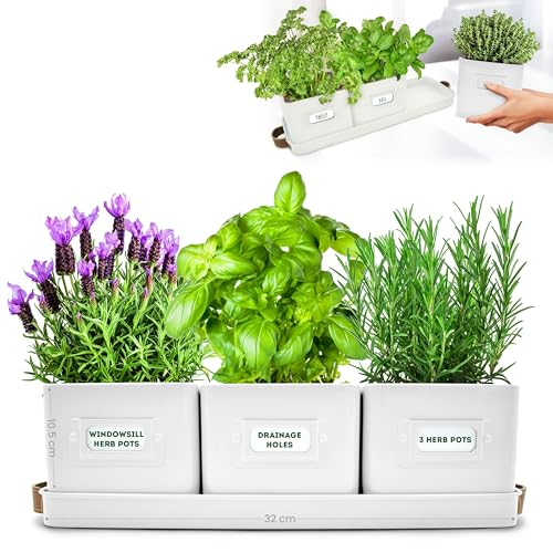 Macetas Barro Rectangular Marca Green Thumbz