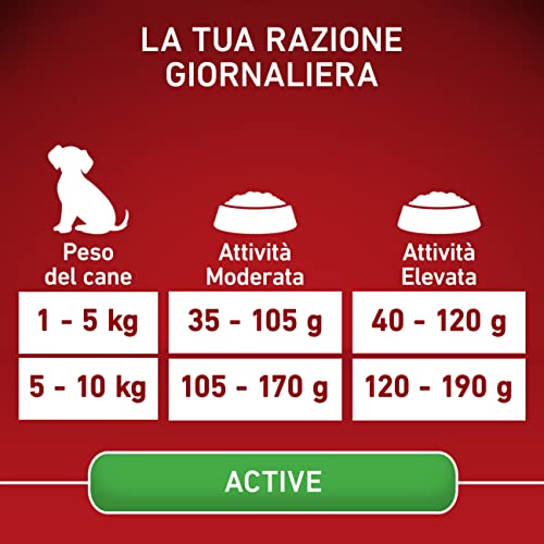 Purina One Mini Active für Hunde unter 10 kg, Kroketten mit Huhn und Reis, 8 Packungen à 800 g