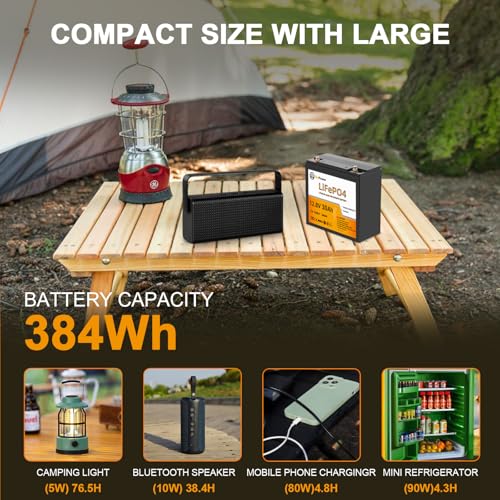 Image of 12V 30Ah Lithium Phosphate Iron LiFePO4 Deep Cycle B attery,30A BMS | 4000+ Cycles,Perfect for RV,Trolling Motor,Home Storage,Solar Power System and Outdoor Camping