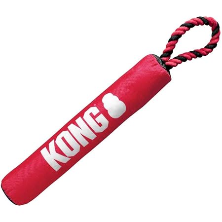 kong fetch