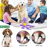Intelligenzspielzeug für Hunde,Schnüffelspielzeug Hund,Hundespielzeug Schnupftabak,Quietschend Welpenspielzeug,Interaktives Hundespielzeug,Puzzle Toys for Dogs,Oktopus Interaktives Hundespielzeug