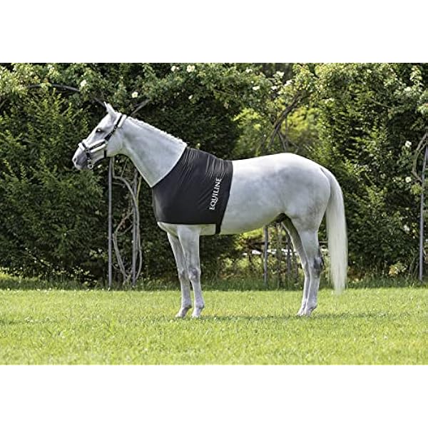 Equiline borstbescherming Edinburgh