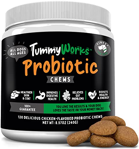 View of Top 10 Dog Foods to Soothe Your Pup's Upset Stomach: A Buying Guide and ...