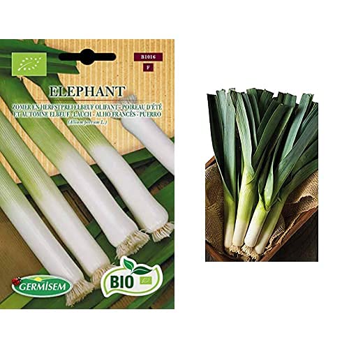 puerro orgánica Set 2