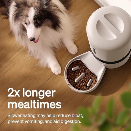 PETLIBRO Automatic Cat Feeder with Camera, Auto Pet Food Dispenser Slow Feeder Dog Bowl, 1080P HD Video with Night Vision, 5G WiFi with 2-Way Audio, Stainless Steel Slow Food Tray for Small Dogs - Image 3