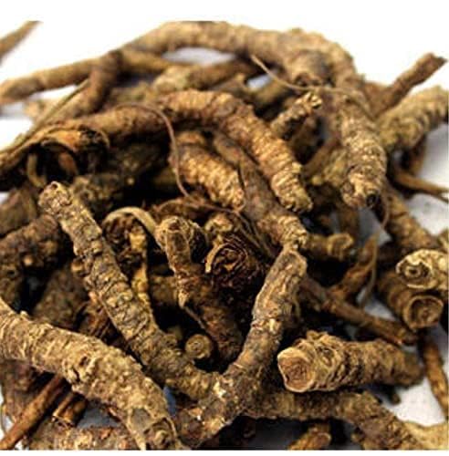 Backtobasics Kutki Root | Picrorhiza Kurroa Hellabore | Katukarogani Root (400) (B0D5RFJP22) Amazon Price History, Amazon Price Tracker