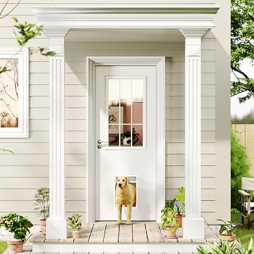 Lakenyon Front Door，32" x 80", 9-Lite with Pet Door, Clear