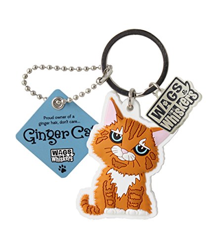 Wags and Whiskers Ginger Cat (cuidado diario) llavero con soporte para llaves/llavero (886767110868)