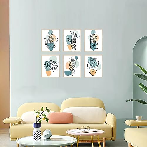 Fszsees Boho Skeletal Wall Art Set Of 6 Anatomy Wall Art thumb #4