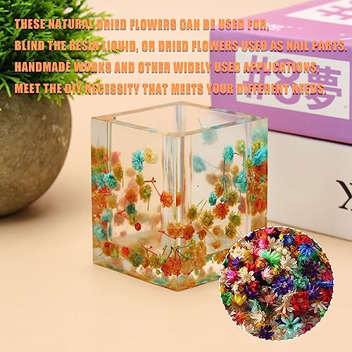 Flores secas, 300 pcs multicolor para manualidades miniatura 4