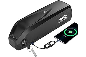 Official Swagtron EB5 Battery: Power Your E-Bike Adventures