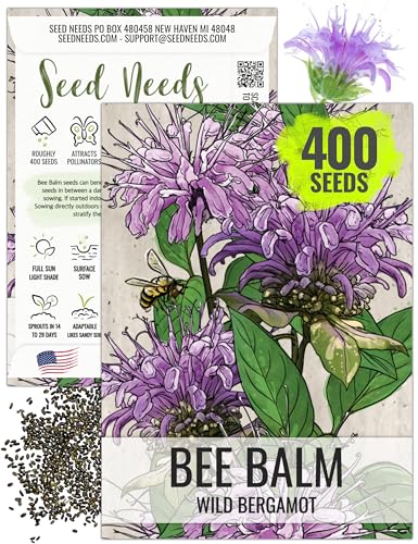 Seed Needs Bee Balm Seeds for Planting Wild Bergamot - Heirloom & Open Pollinated Perennial Flowers to Grow a Butterfly Garden to Attract Bees, Butterflies & Other Pollinators (1 Pack)