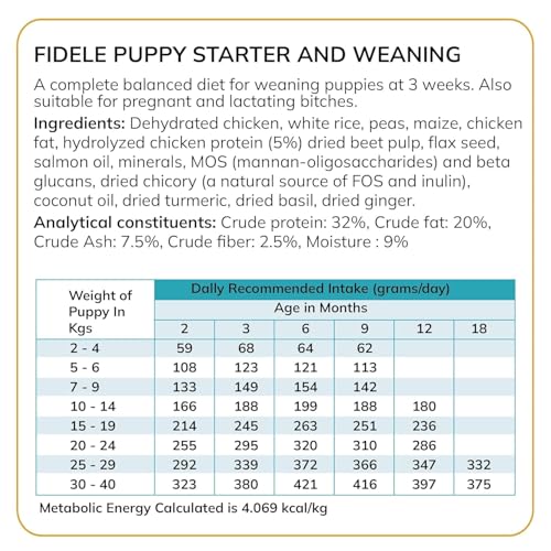 Image of Fidele+ Starter Puppy Food | 900g | DHA for Brain Development | Gentle Digestion | Ideal for Weaning Puppies & Mothers