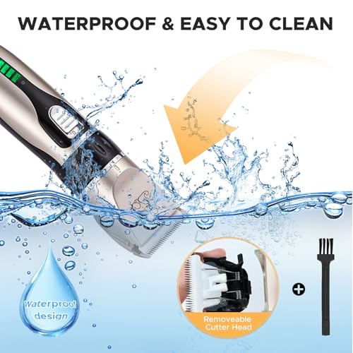 Anluomania Hundeschermaschine, Haarschneidemaschine für Hunde, Tierhaarschneidemaschine, Tierhaarschneider, Leiser Wiederaufladbarer, Kabelloser, mit 4 Führungskamm, für Hunde Katzen Alle Felltypen