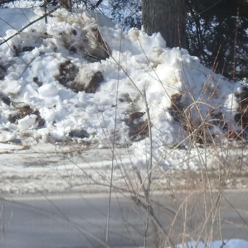 WHEN IMAGINATION TAKES OVER