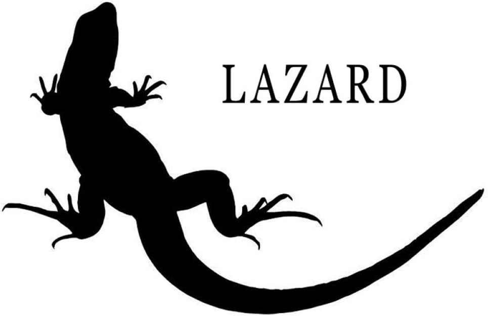 Amazon Djskhf 13 5cm 8 7cmトカゲシルエットファッションカーステッカービニールデカール 車の傷を カバー 隠す White X 5pcs 壁紙