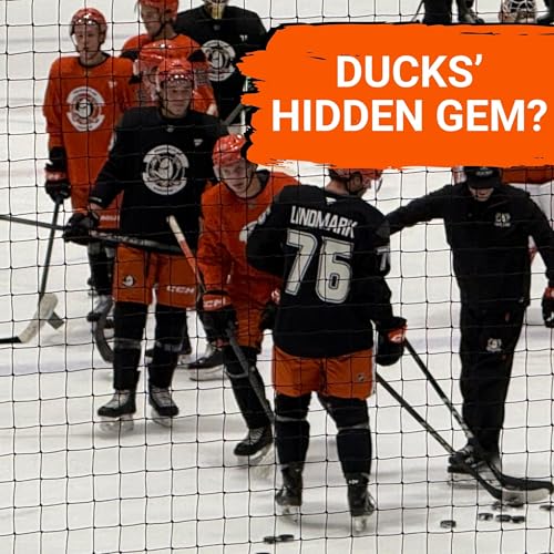 Page de couverture de ANALYSIS: Anaheim Ducks Prospects SHINE in Practice | Who Will CRACK the NHL Lineup?