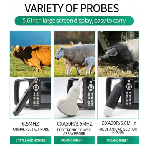 Analizzatore veterinario di ultrasuono con lo schermo di HD e riscaldamento un-chiave per rilevazione animale di gravidanza
